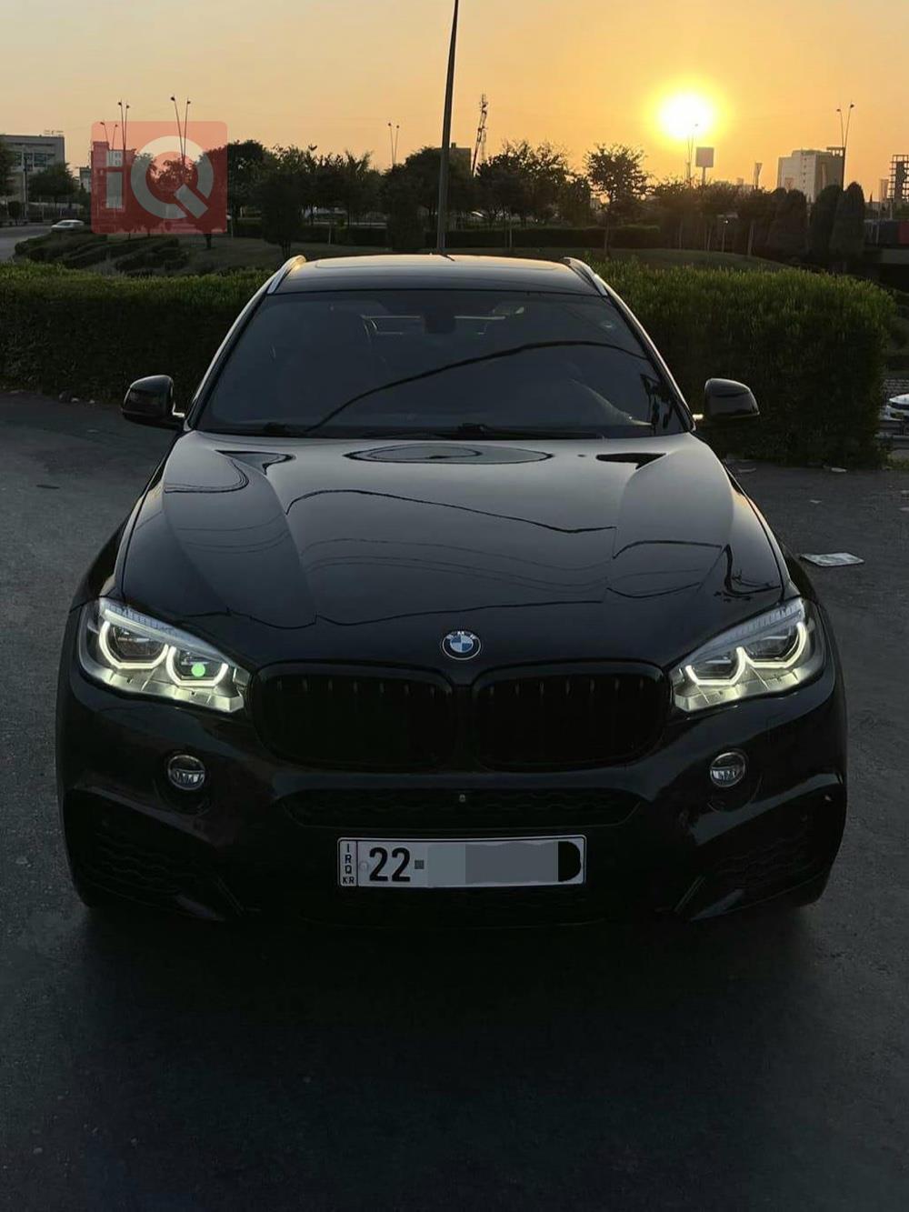 BMW X6